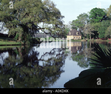 Middleton Place Gardens in der Nähe von Charleston in South Carolina Stockfoto