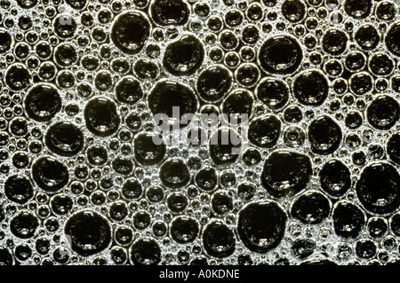 Bläschen auf der Oberfläche des Wassers Stockfoto