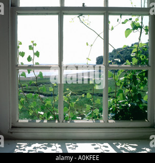 Das Gartenhaus Fenster in Laugharne Castle mit Blick auf Sir Johns Hill wo Dylan Thomas in Laugharne UK KATHY DEWITT schrieb Stockfoto