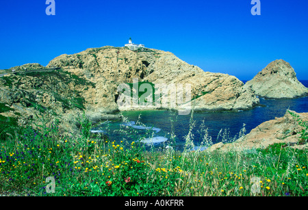 Meeresküste in l ' Ile Rousse, Balagne, Korsika, Frankreich Stockfoto