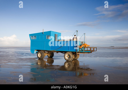 Kommerzielle Meeresfrüchte Muscheln Krabbenfischerei mit modifizierten Zugfahrzeug, Southport, Merseyside uk Stockfoto
