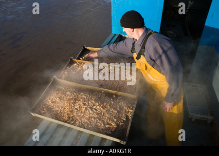 Kommerzielle Meeresfrüchte Muscheln Krabbenfischerei mit modifizierten Zugfahrzeug, Southport, Merseyside uk Stockfoto