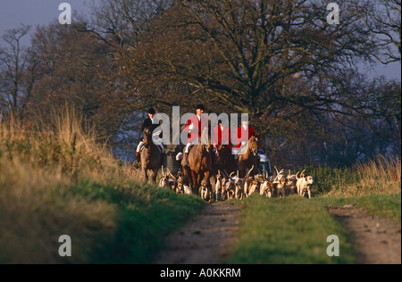 Fuchsjagd die Quorn Jagd in Leicestershire, England Stockfoto