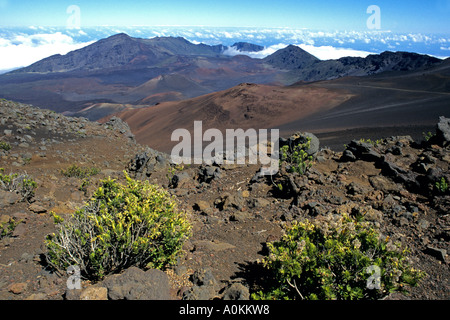 Wanderwege auf Haleakala Vulkan auf Maui, Hawaii. Stockfoto