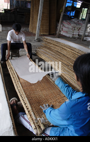 Vietnamesische Arbeitnehmer entfernen Reispapier aus Wäscheständer Stockfoto