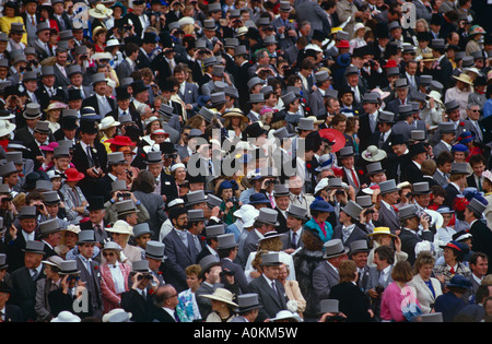 Das Publikum im königlichen Gehege beobachten die Pferderennen Royal Ascot Tagung Ascot Berkshire England Stockfoto