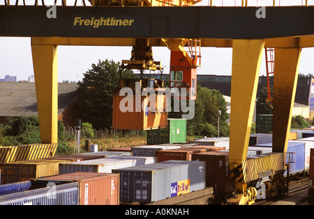 Portainer Kran an der Southampton Freightliner Terminal Anheben eines 20-Fuß-Container von Eisenbahnwagen Stockfoto