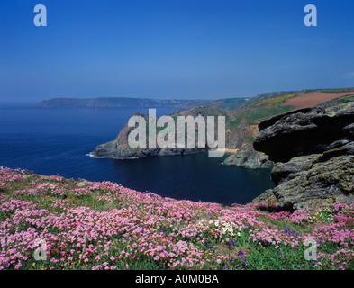 Auf der Suche von Prawle Punkt in Richtung Gammon Kopf Devon England UK Stockfoto