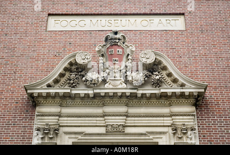 Der Eingang an der Harvard University Fogg Art Museum auf Quincy Street in Cambridge, Massachusetts Stockfoto