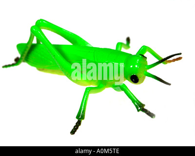 Grüne Heuschrecke Plastikspielzeug Stockfoto