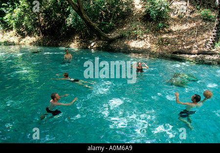 Touristen genießen Wikki Warm Springs, Yankari-Nationalpark in Nigeria Stockfoto