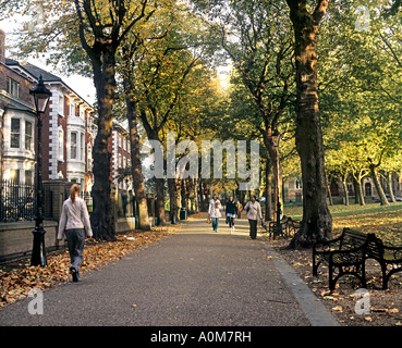 Herbstfärbung in New Walk, ein Fußgängerweg nahe dem Zentrum von Leicester. Stockfoto