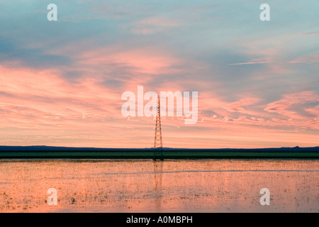 Sonnenaufgang über eine Lagune in der Nähe von Ciudad Camargo Chihuahua in der nördlichen Spitze der Chihuahua-Wüste Stockfoto