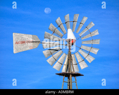 Windmühle außerhalb Marathon in weit West Texas in der nördlichen Spitze von der Chihuahua-Wüste Stockfoto