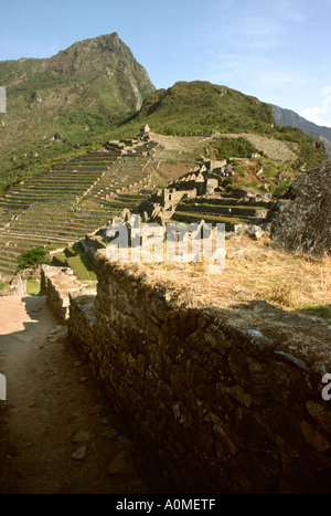Peru Machu Picchu Inca Terrassierung Stockfoto