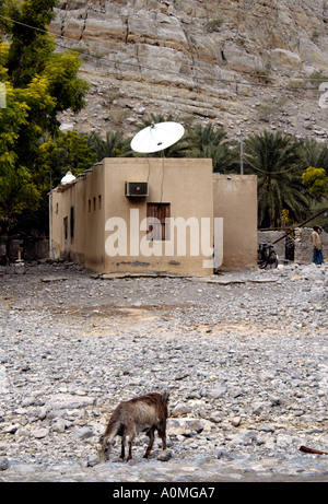 Oman, Halbinsel Musandam. Dorf von Tawi. Satellitenschüssel und primitiven Dorf mit Ziege vor nach Hause. Stockfoto