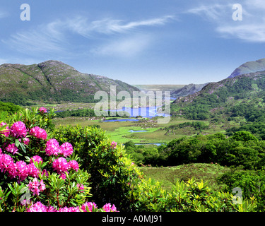 IE - CO KERRY: Ladies View in der Nähe von Killarney Stockfoto