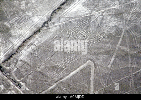 Spider, Nazca Lines, Nazca, Peru, Südamerika Stockfoto