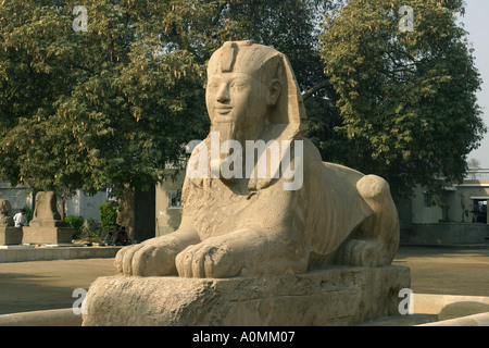 Ägypten-Memphis-Sphinx Stockfoto