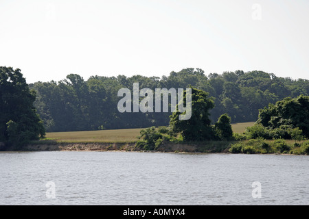 Acker an der Wasserkante entlang der Elk River Stockfoto