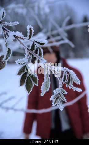 Frauen-Silhouette über Raureif bedeckt Ast eines Baumes Stockfoto