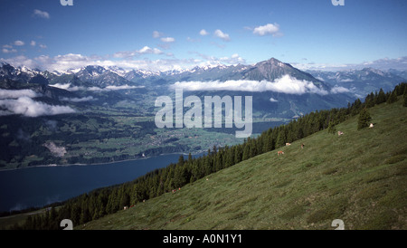 Thunersee und das Justistal-Tal in der Schweiz, von einem Hügel in der Nähe von dem Niederhorn betrachtet Stockfoto