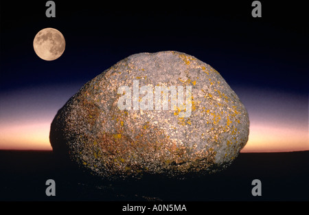 Vollmond und ein Felsblock auf Cadillac Mountain im Acadia National Park im Morgengrauen Stockfoto