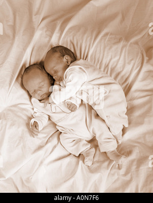 TWIN BABY BOYS Stockfoto