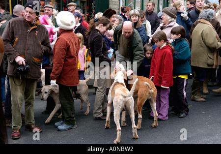 Golden Valley Jagd montieren auf dem Stadtplatz Uhr im Heu Wye Powys Wales UK GB Anhänger Hunde streicheln Stockfoto