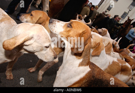 Golden Valley Jagd montieren auf dem Stadtplatz Uhr im Heu auf Wye Powys Wales UK GB Fox Hounds Mühle rund um den Fans Stockfoto