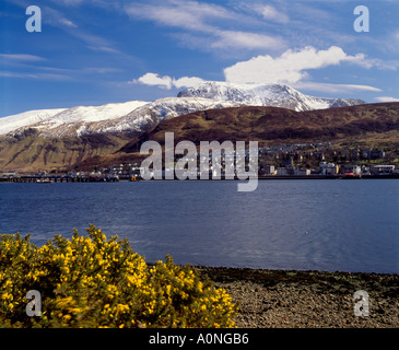 Ben Nevis und Fort William aus über Loch Linnhe, Lochaber, Highland, Schottland, UK Stockfoto