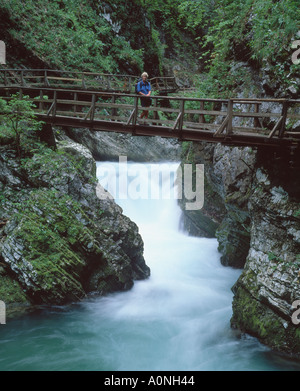 Der Fluss Radovna Vintgar-Schlucht, in der Nähe von Bled, Gorenjska, Slowenien Stockfoto