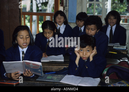 Tibetische Flüchtlingskinder in der Klasse in der Schule in Meghalaya N E India Stockfoto