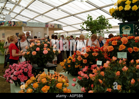 Hampton Court Palace Flower Show Festival der Rosen Festzelt. London-England-Vereinigtes Königreich-UK Stockfoto