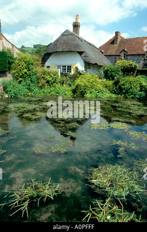 Typische englische Pondside Reetdachhaus in Singleton Village, West Sussex England Stockfoto