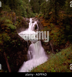 Little Qualicum River und fällt, Little Qualicum Falls Provincial Park, Vancouver Island, BC, Britisch-Kolumbien, Kanada Stockfoto