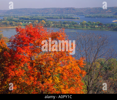 Herbstliche Bäume auf Bluffs oberen Mississippi River National Wildlife Refuge-Iowa Stockfoto
