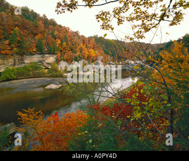 Wilden malerischen Cumberland River im Herbst Daniel Boone National Forest Kentucky Stockfoto