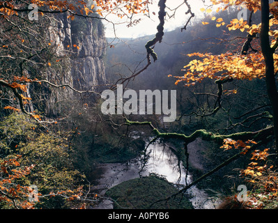 Herbstfarben in Chee Dale, Peak District National Park, Derbyshire, England Stockfoto