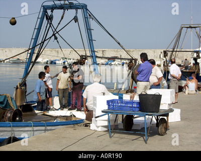 Sortierung und Boxen, Fang, Puerto Deportivo de Fuengirola, Hafen von Fuengirola, Costa Del Sol, Spanien Stockfoto