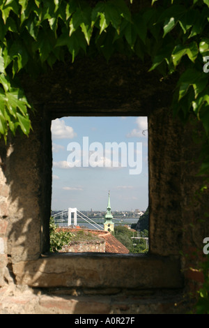 Ivy verkleideten Wand des königlichen Palastes und Blick auf Budapest in Ungarn Stockfoto