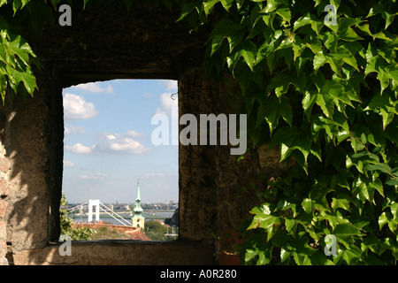 Ivy verkleideten Wand des königlichen Palastes und Blick auf Budapest in Ungarn Stockfoto