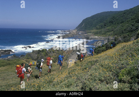 Weiße Touristen oder Besucher zu Fuß entlang der Otter Trail in Natures Garden Valley Kapprovinz in Südafrika Stockfoto