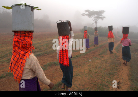 Dorfbewohner von der Pak Oh Minderheit holen Wasser aus einem Brunnen eine und eine halbe Meile entfernten Dorf von Pattap Poap in der Nähe von Inle Lake Shan Stockfoto