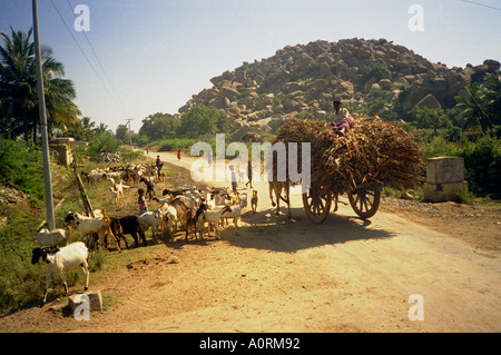 Schönheit exotische Kinder Ziege Felsen Land Straße ländliche Tradition Maultier Wagen Mann gehen Hügel Karnataka Provinz Indien in Südasien Stockfoto