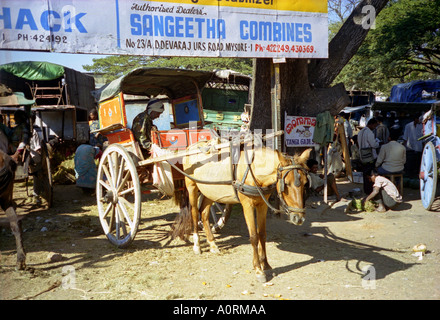 Charakteristische Tradition ländlichen Pferd Maultier Wagen tragen Menschen beschäftigt Markt Dorf Mann Udipi Karnataka Indien in Südasien Stockfoto