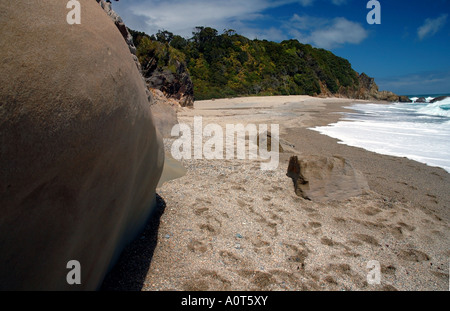 Wild Monro Beach an der Westküste der Südinsel, nördlich von Haast, Neuseeland Stockfoto