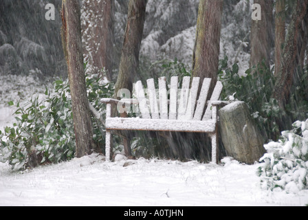 "Schnee-bedeckten Bank unter Zedern" Stockfoto