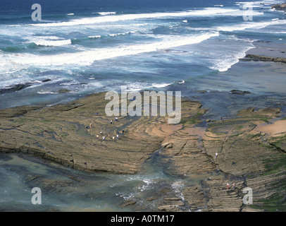 Strandläufer auf ungewöhnlichen Felsformationen Stockfoto