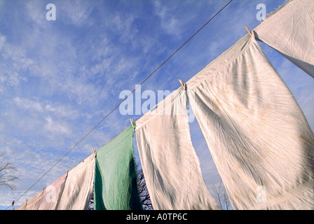 Wäscheleine auf einem amischen Bauernhof in der Nähe von Arcola Illinois Stockfoto